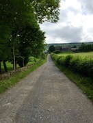 16th Jun 2016 - Lane Up To The Farm