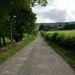 Lane Up To The Farm by gillian1912