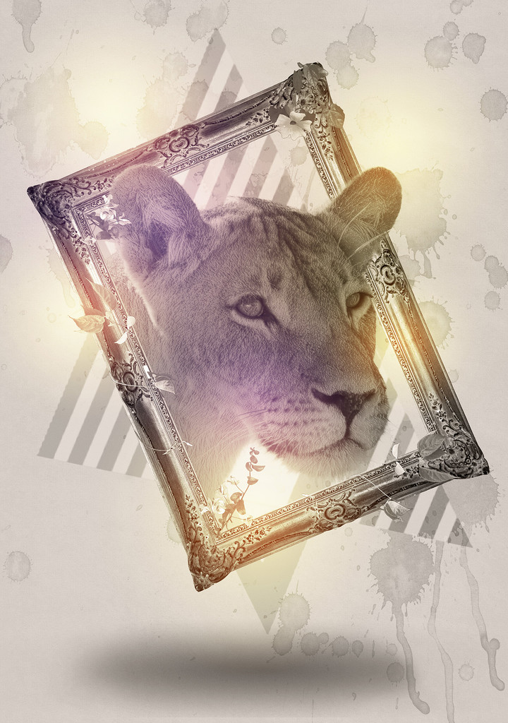 Lioness by salza