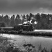Oregon Coast Scenic Railroad II by byrdlip