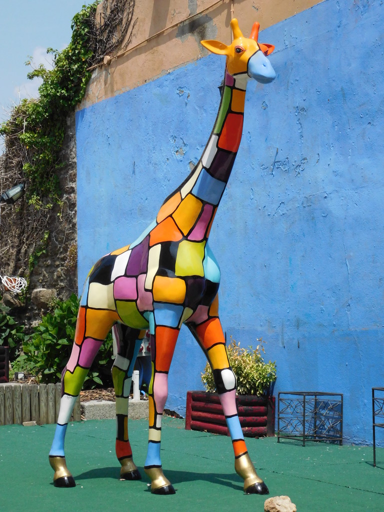  Giraffe by 365anne