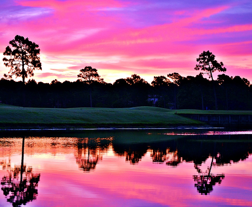 Reflecting on a Pink Florida Sunrise  by soboy5
