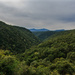Knysna Forest by seacreature