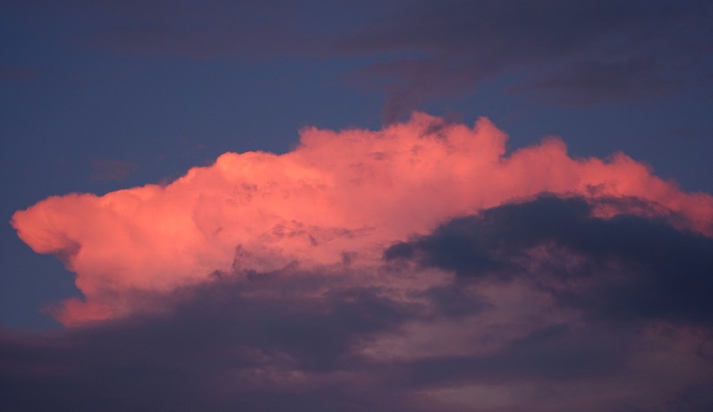 rosy cloud  by quietpurplehaze