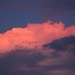 rosy cloud  by quietpurplehaze