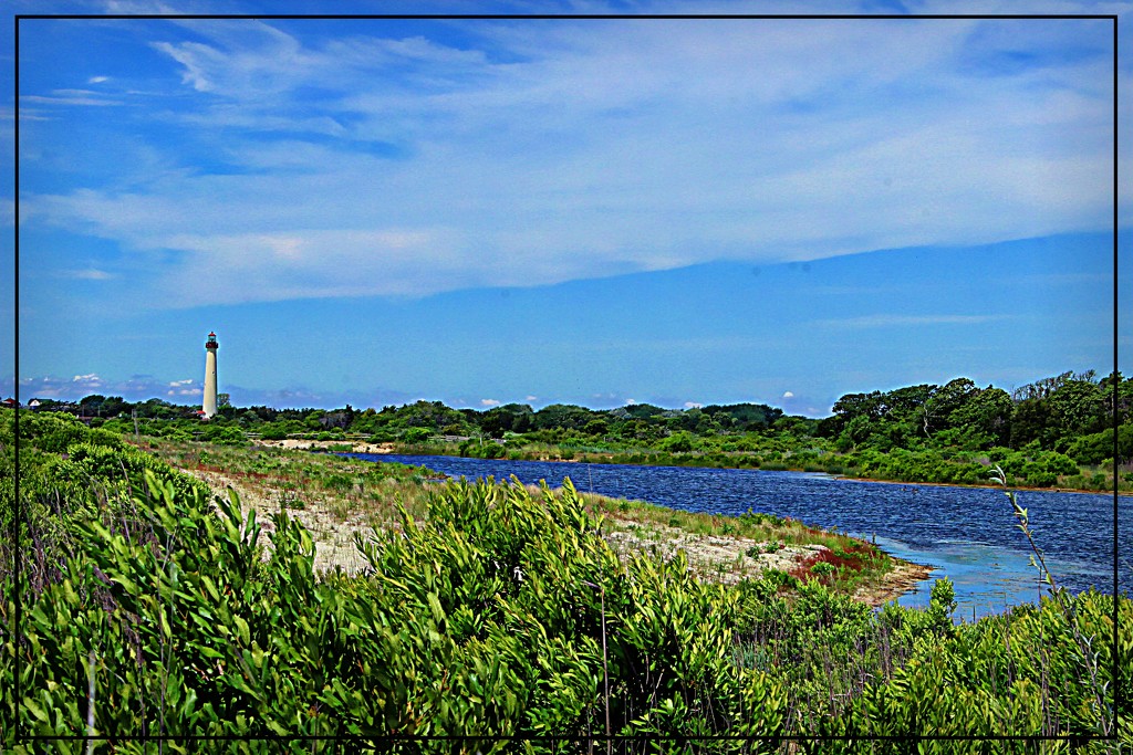 Cape May Lighthouse by olivetreeann