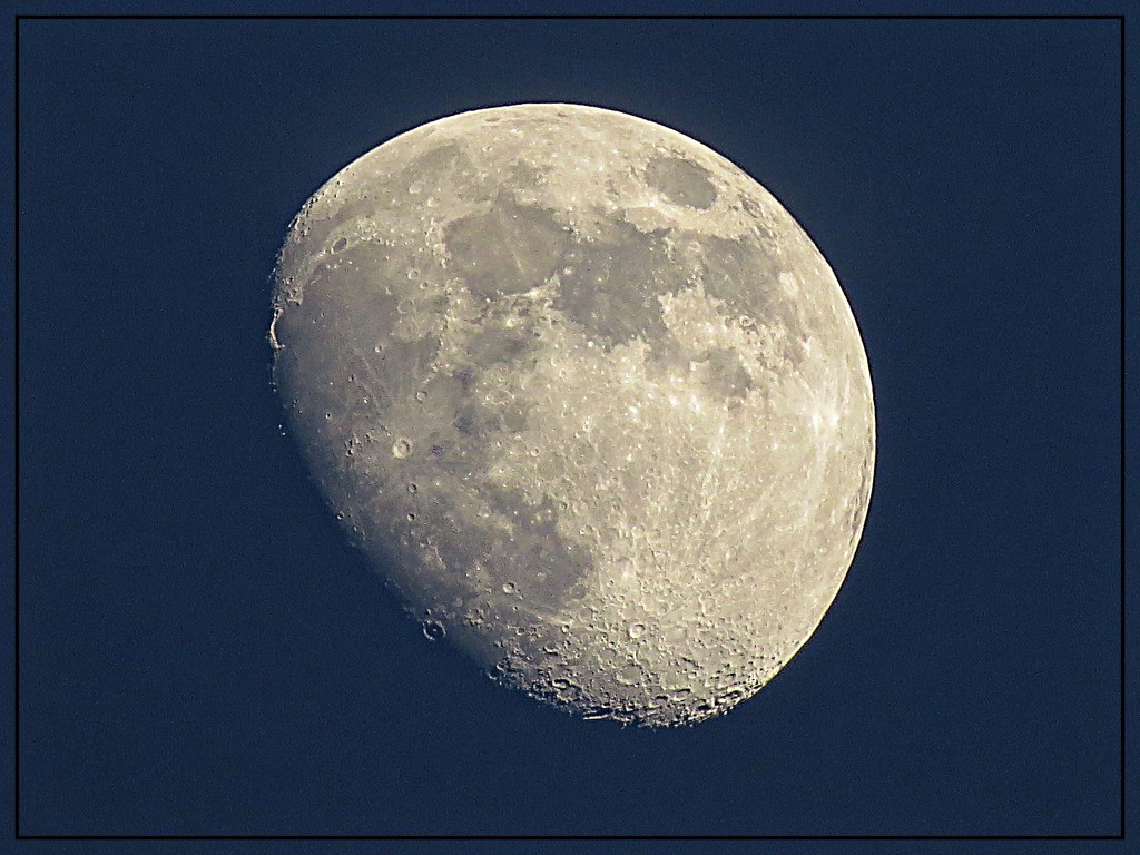 Moon Shot on June 15th by olivetreeann