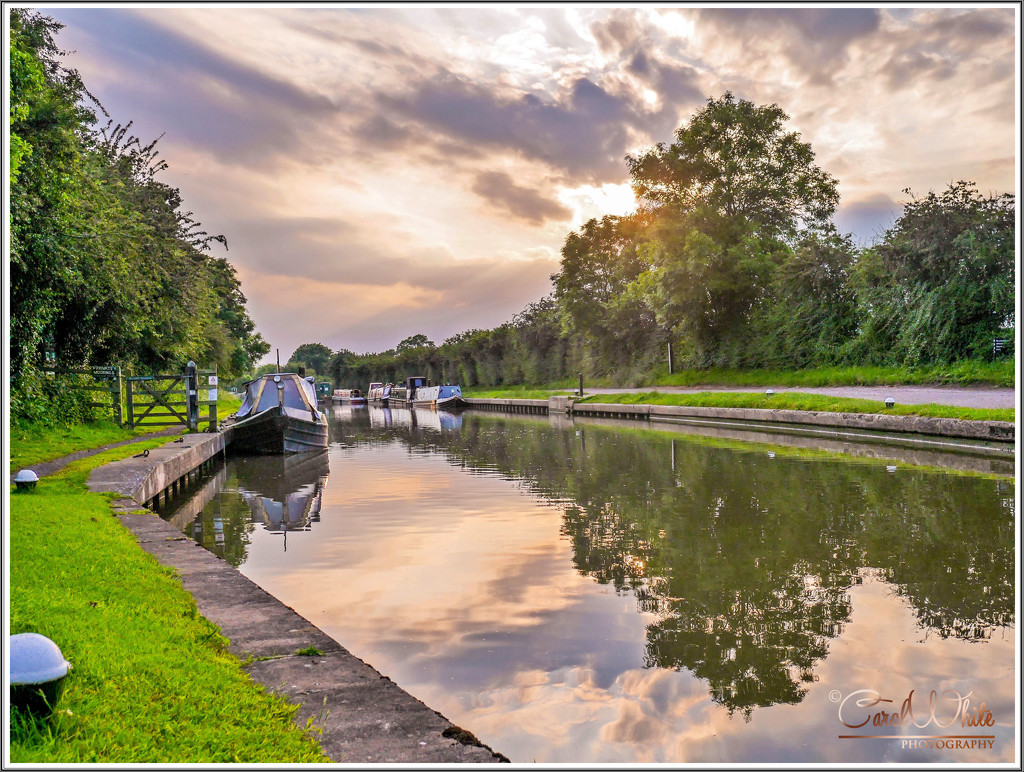 Late Evening On The Canal by carolmw