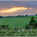 Sunset Across The Fields by carolmw