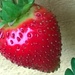 Strawberry - nearly ready to eat by cataylor41
