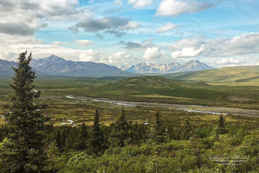 Alaskan Landscape by lynne5477