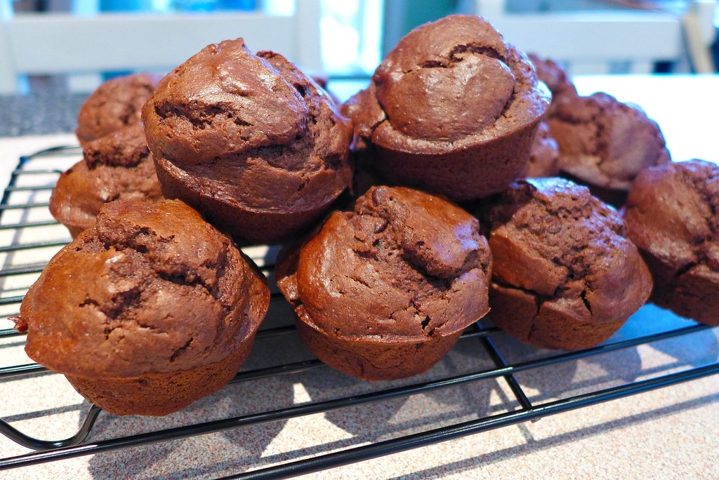 Double choc chip muffins by leggzy