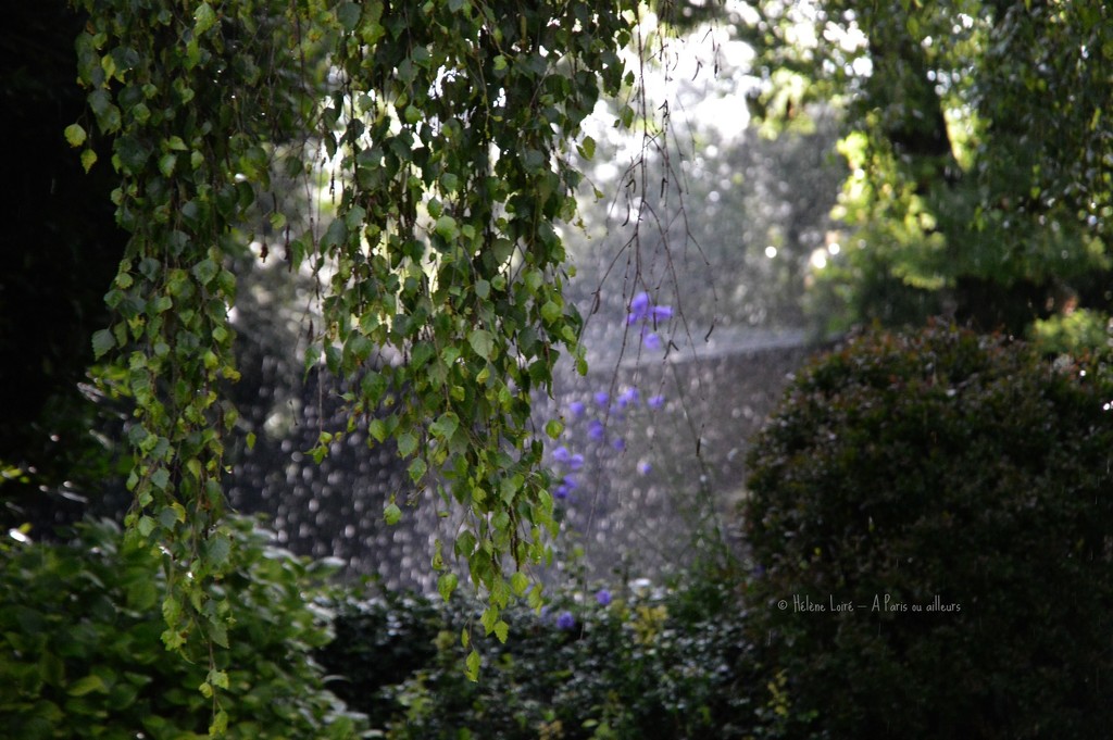 rain and sun by parisouailleurs