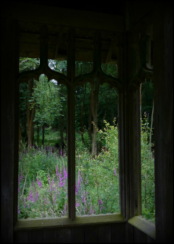 Penn Woods. Nice place to shelter from the rain by jokristina