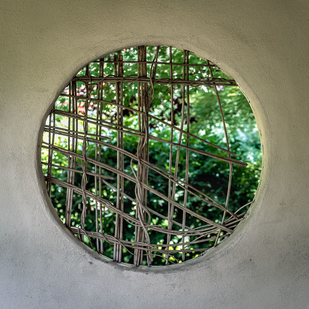 Window to the Japanese Garden by rosiekerr