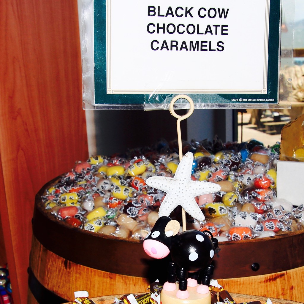 Ever seen a bull in a candy store? by kiwinanna