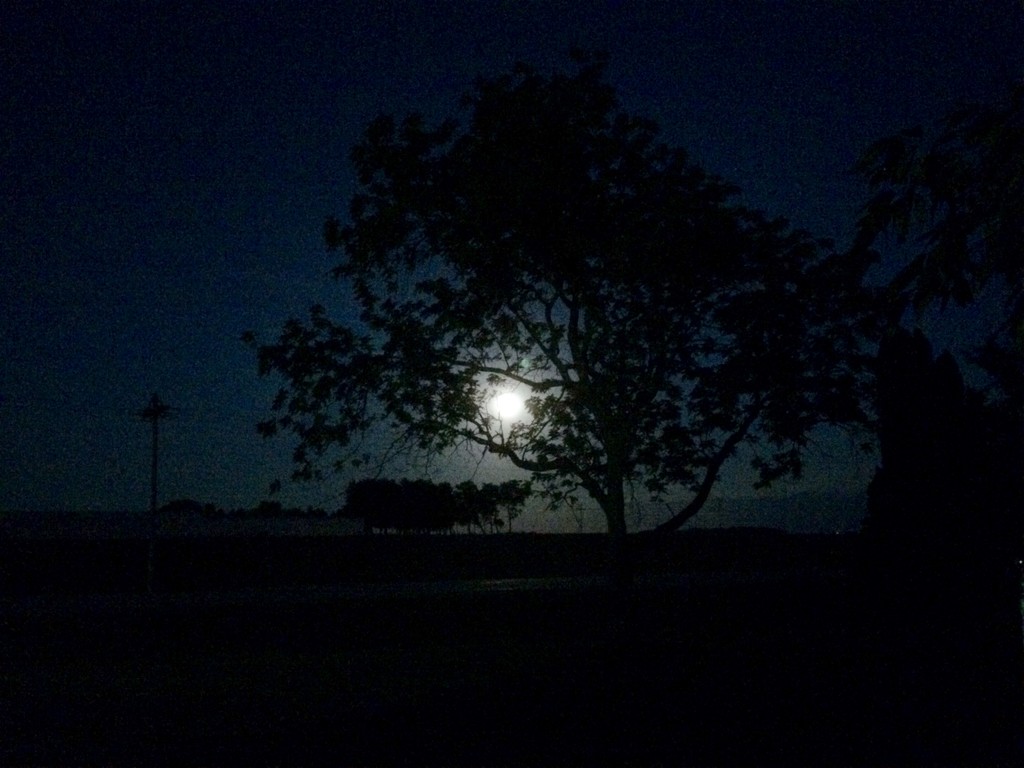 Full moon front lawn by bjchipman