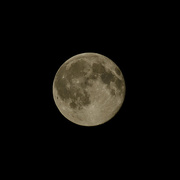 21st Jun 2016 - the perfunctory moon shot strawberry solstice