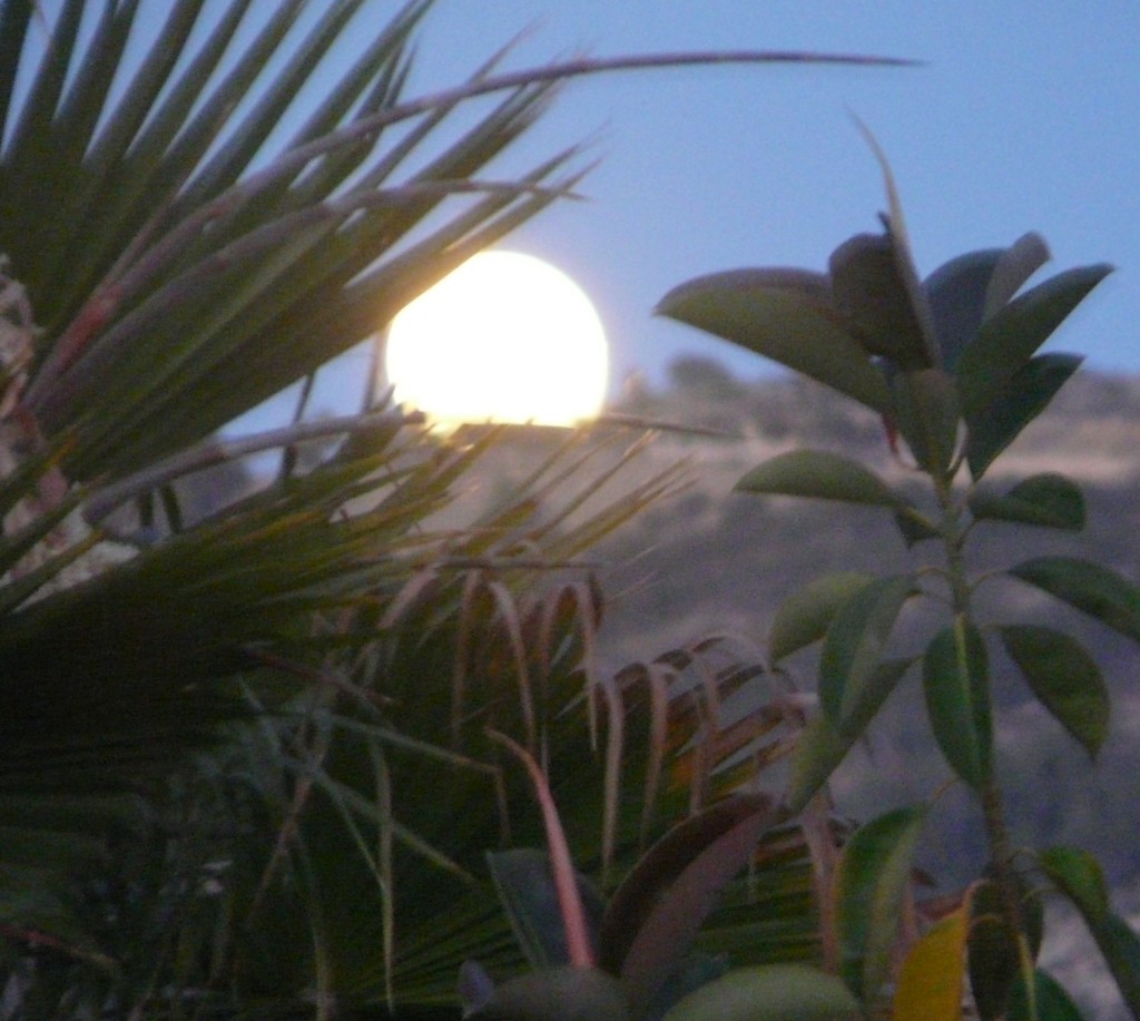 Moon over Cumbre del Sol by kyfto