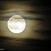 Strawberry Moon as the Clouds Close In by marylandgirl58