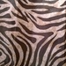 Animal Print by scoobylou