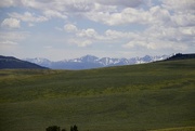14th Jun 2016 - Pioneer Mountains, Montana