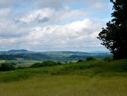 22nd Jun 2016 - A view of the Malvern hills in the distance...