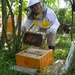 Beekeeper ;) by fortong