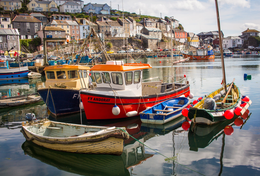 Boats in the harbour by swillinbillyflynn
