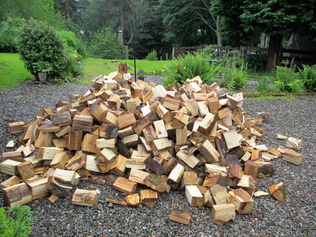 a lot of logs by jmj