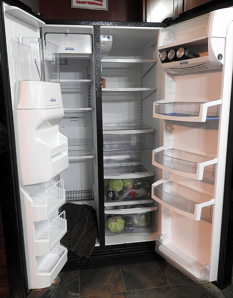 Empty fridge, clean fridge by homeschoolmom
