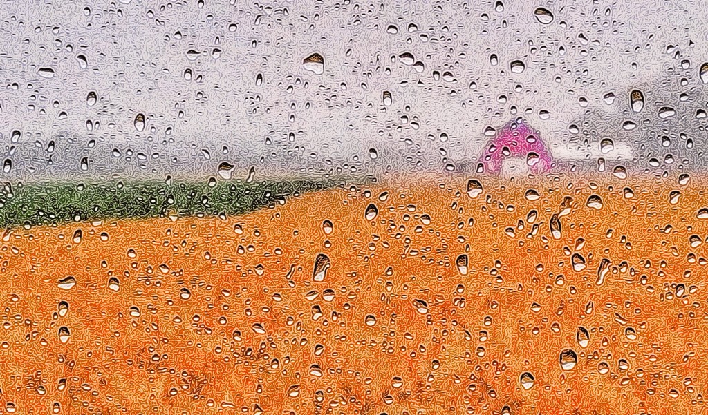 Rain on the Farm by sbolden
