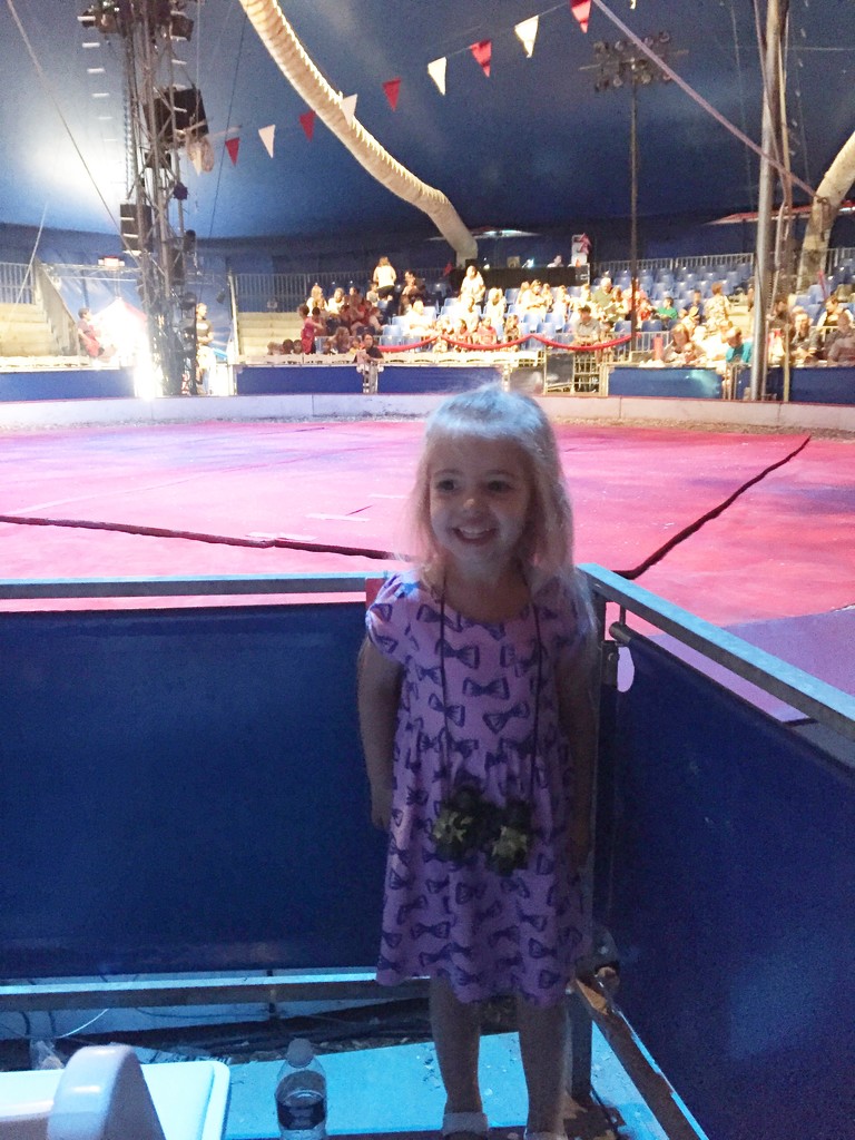 At the big top by mdoelger