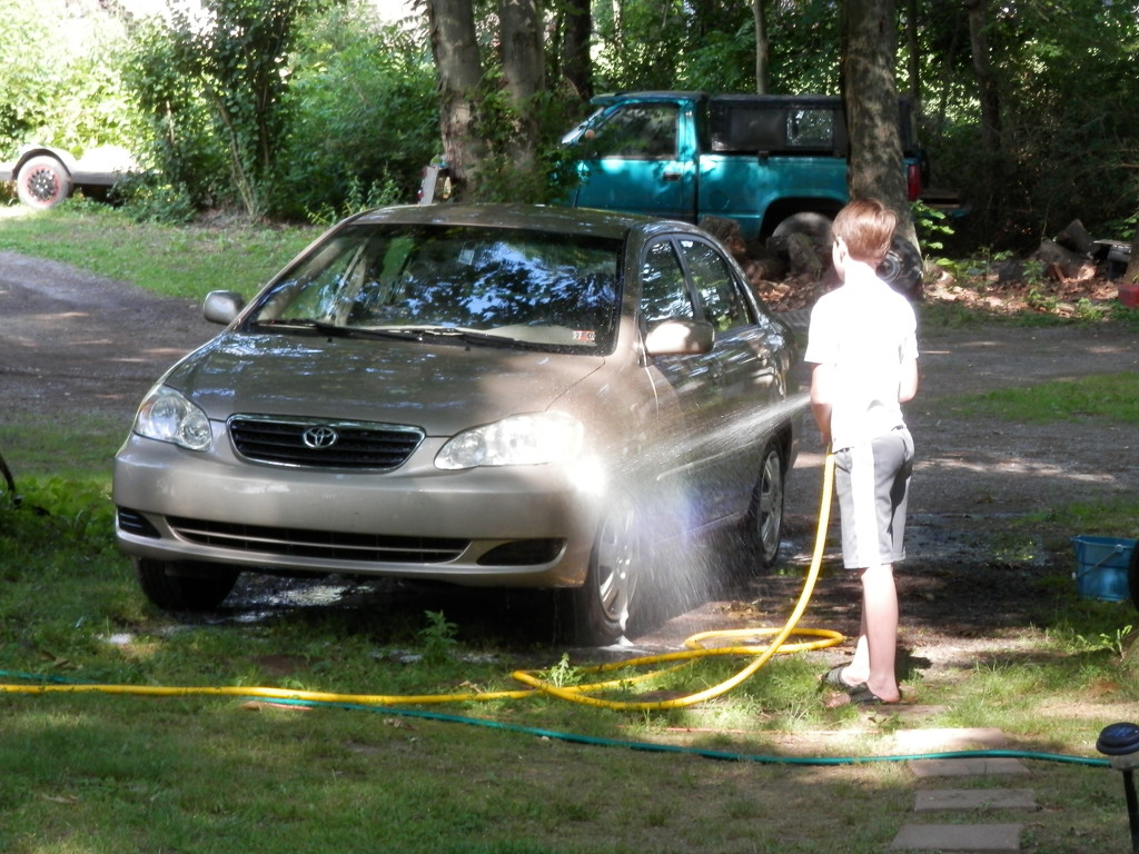 Washing the Car by julie