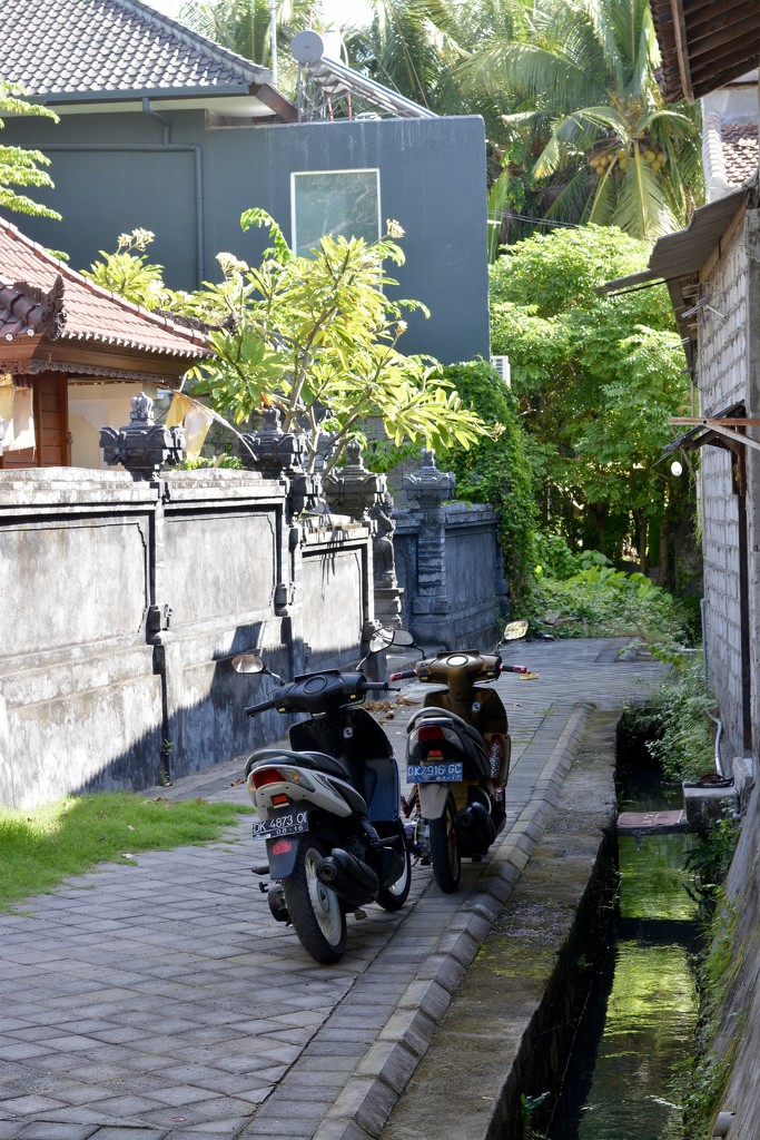 Balinese Laneway by merrelyn