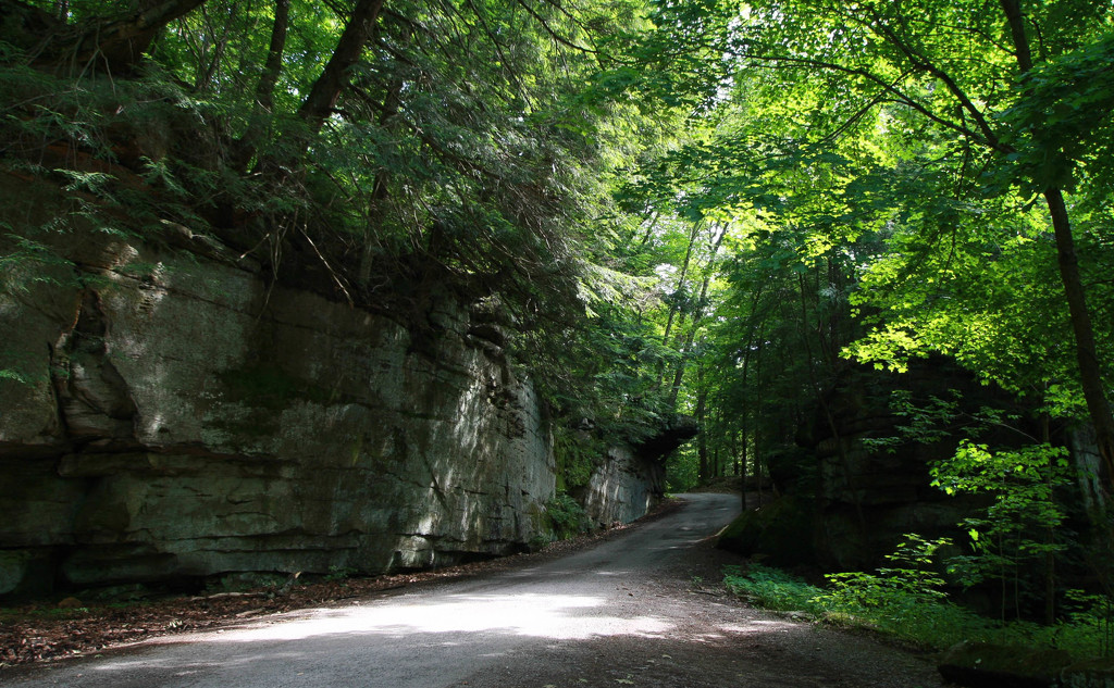 Narrow road at McConnells Mill State Park by mittens