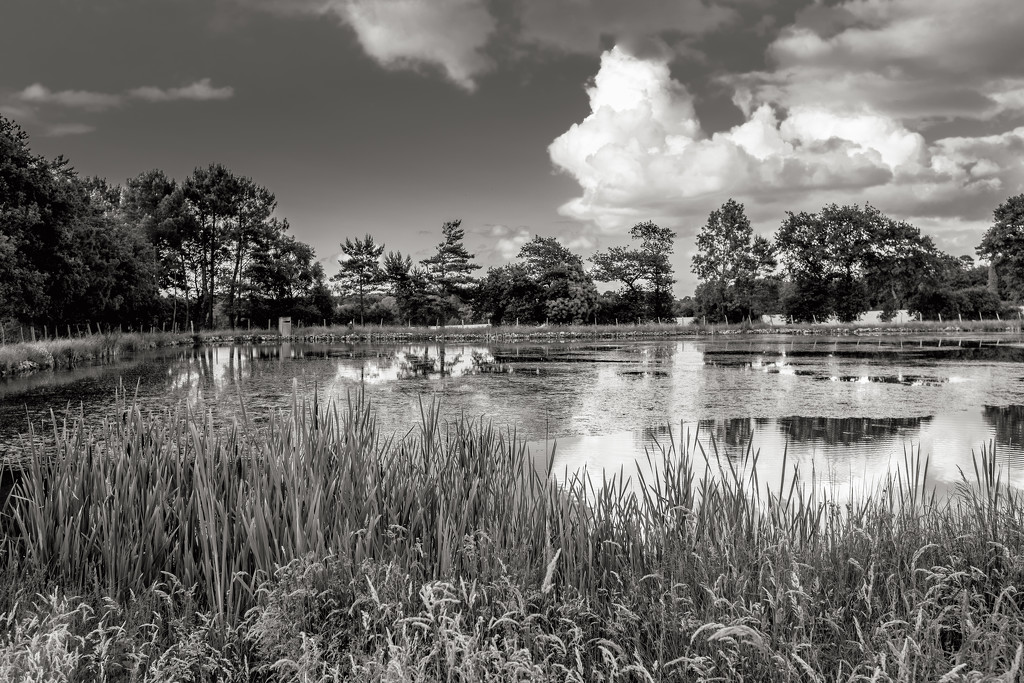 Project 52: Week 26 - The Pond at Le Plessis... by vignouse