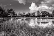 25th Jun 2016 - Project 52: Week 26 - The Pond at Le Plessis...