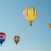 Hot Air Balloon Festival by dridsdale
