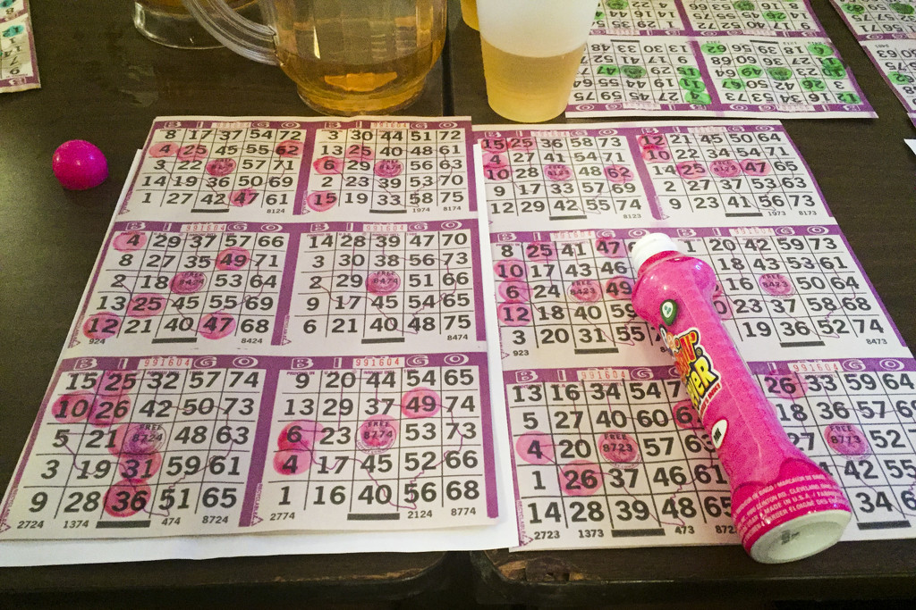 Bingo by erinhull