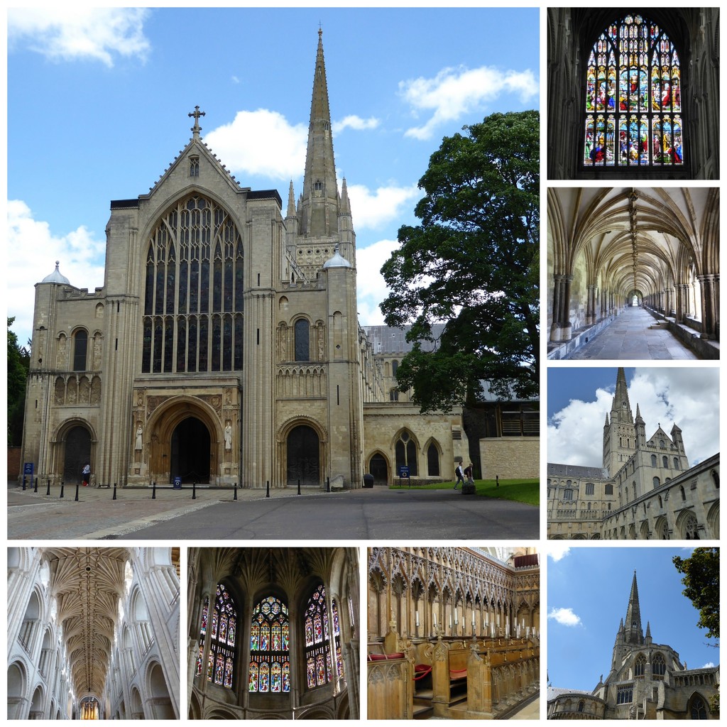  Norwich Cathedral by susiemc