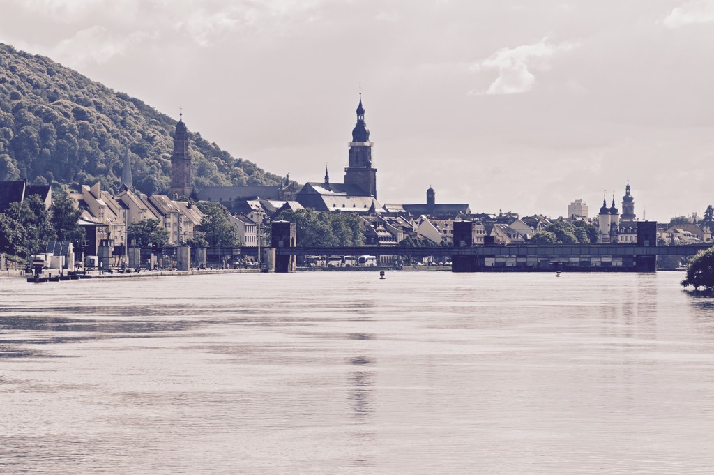 Heidelberg from the water by vera365