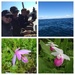 whale watching and wildflowers by wiesnerbeth