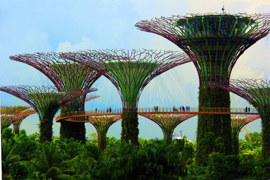 Gardens by the Bay by jaybutterfield