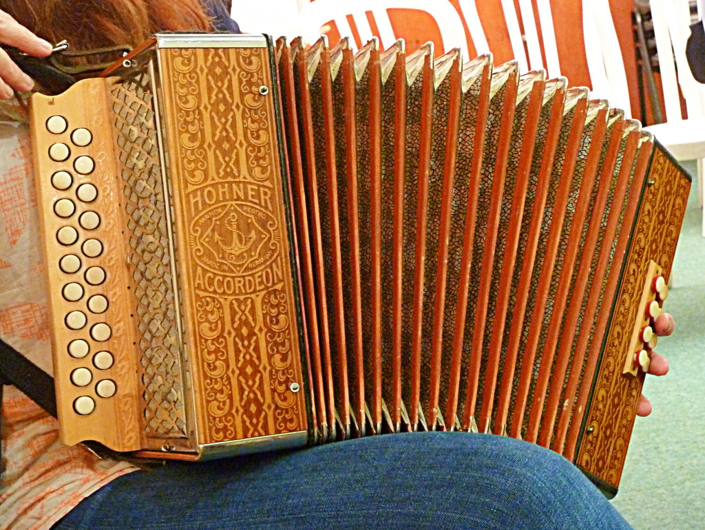 M is for melodeon by boxplayer