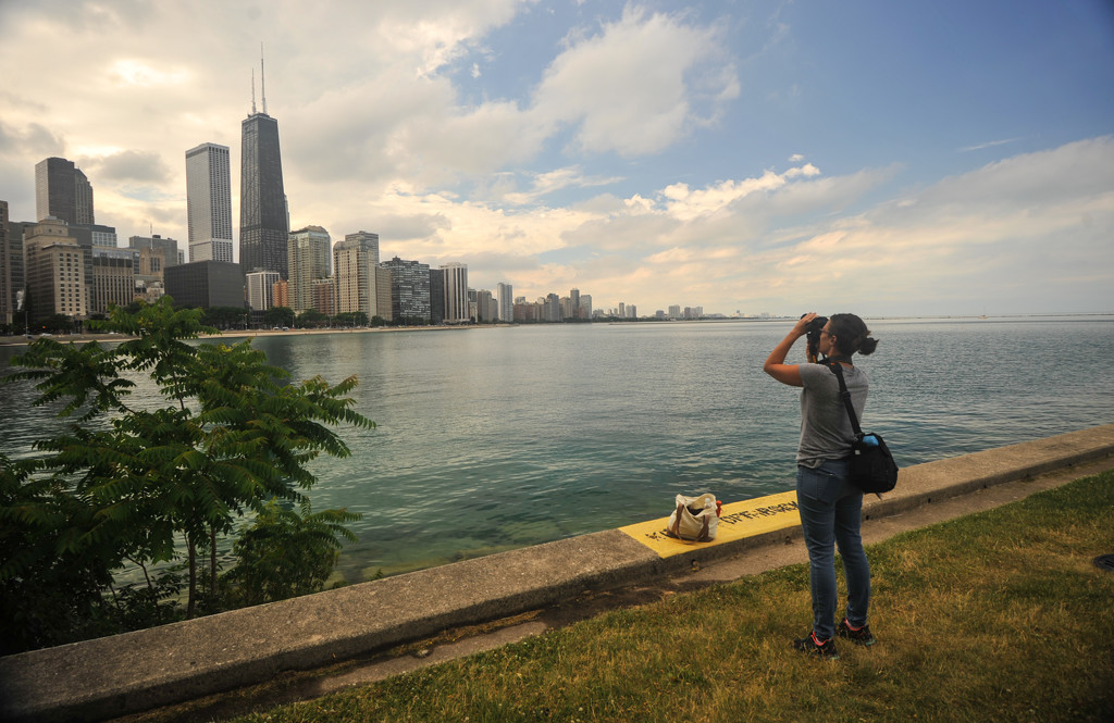 Capturing Chicago by loweygrace
