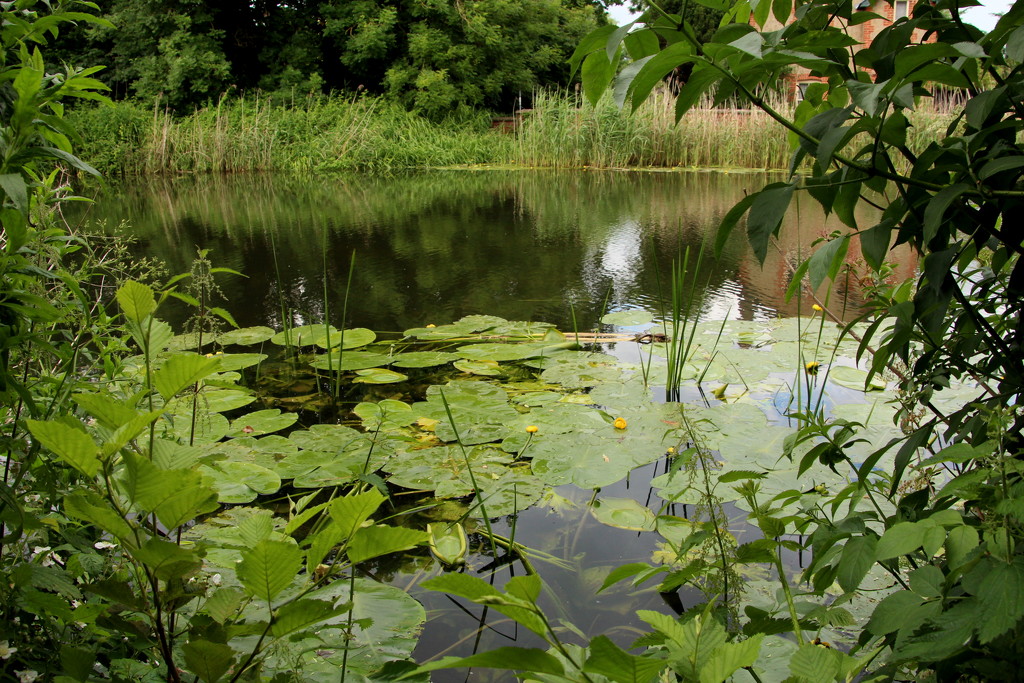 Peaceful haven at Houghton Mill by busylady