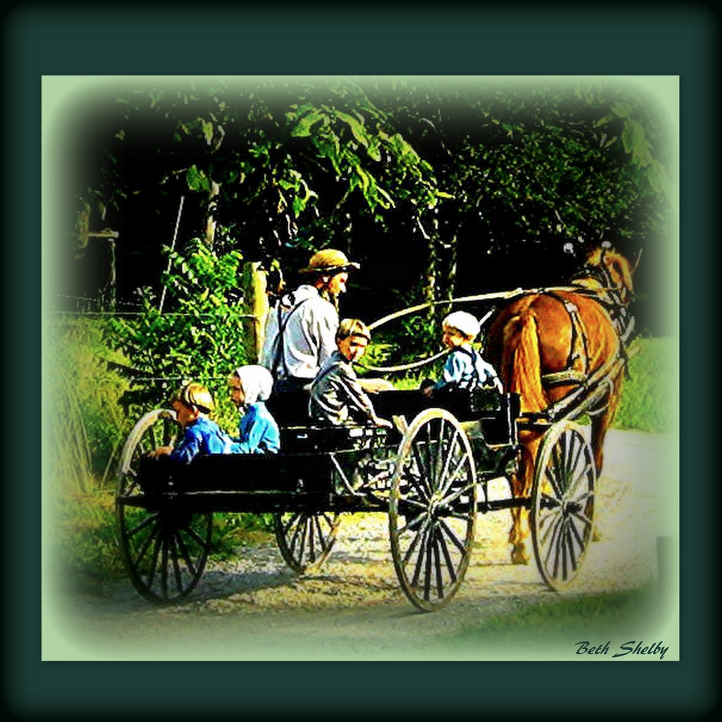 Amish Family Outing by vernabeth