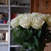 White roses  by parisouailleurs