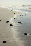 9th Dec 2010 - Sun, sea, sand and shells